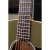 Taylor GS Mini-e Special Edition Olive Green Limited